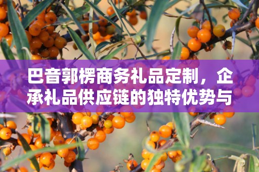 巴音郭楞商务礼品定制，企承礼品供应链的独特优势与定制之旅