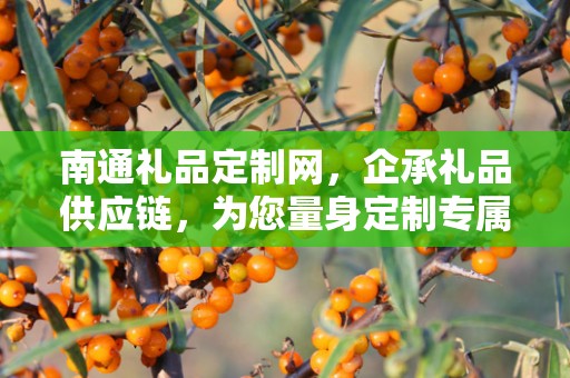 南通礼品定制网，企承礼品供应链，为您量身定制专属礼品